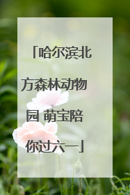 哈尔滨北方森林动物园 萌宝陪你过六一