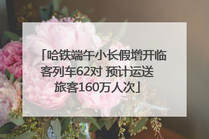 哈铁端午小长假增开临客列车62对 预计运送旅客160万人次