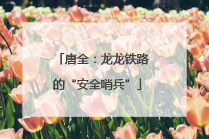 唐全：龙龙铁路的“安全哨兵”