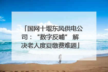 国网十堰东风供电公司：“数字反哺” 解决老人度夏缴费难题
