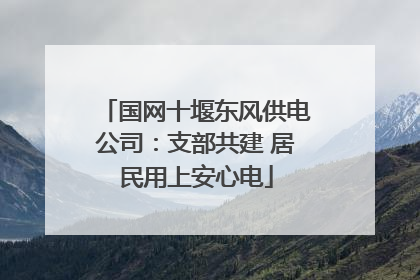 国网十堰东风供电公司：支部共建 居民用上安心电