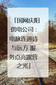 国网庆阳供电公司：电脉连通诗与远方 服务点亮露营之光