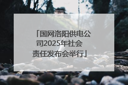 国网洛阳供电公司2025年社会责任发布会举行