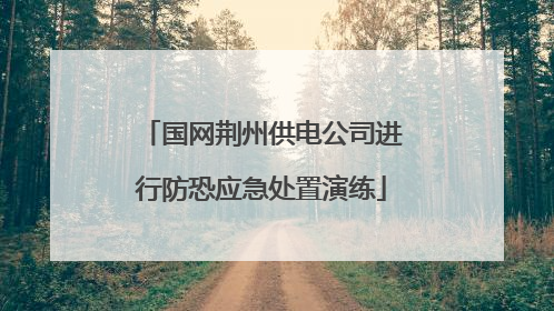国网荆州供电公司进行防恐应急处置演练