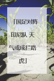 国足对阵印尼队 天气或成拦路虎