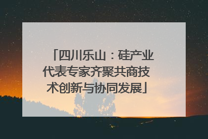 四川乐山：硅产业代表专家齐聚共商技术创新与协同发展
