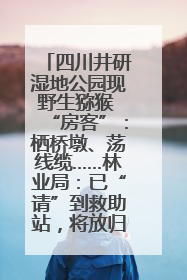 四川井研湿地公园现野生猕猴 “房客”：栖桥墩、荡线缆……林业局：已“请”到救助站，将放归自然