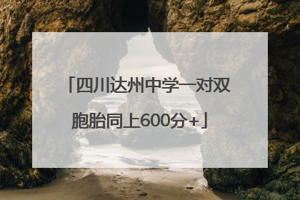 四川达州中学一对双胞胎同上600分+