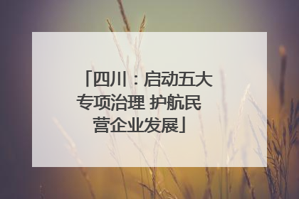 四川：启动五大专项治理 护航民营企业发展
