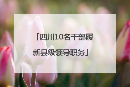 四川10名干部履新县级领导职务