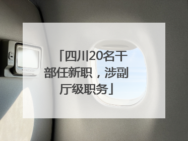 四川20名干部任新职，涉副厅级职务