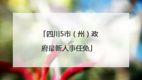 四川5市（州）政府最新人事任免