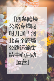 四条跨境公路专线同时开通！河北首个跨境公路运输集结中心启动运营