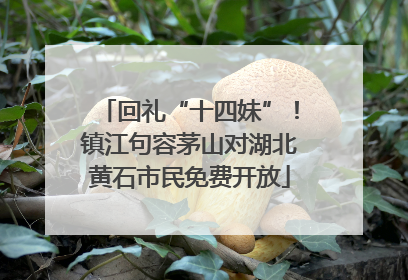 回礼“十四妹”！镇江句容茅山对湖北黄石市民免费开放