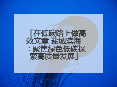 在低碳路上做高效文章 盐城滨海：聚焦绿色低碳探索高质量发展