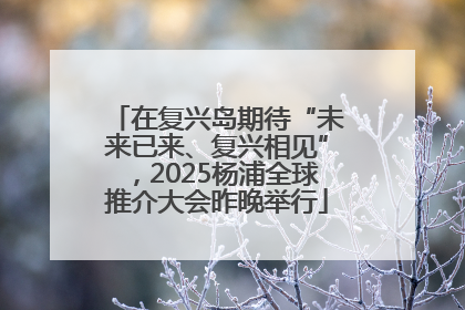 在复兴岛期待“未来已来、复兴相见”，2025杨浦全球推介大会昨晚举行