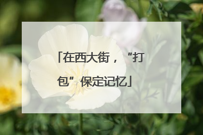 在西大街，“打包”保定记忆