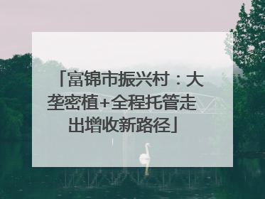 富锦市振兴村：大垄密植+全程托管走出增收新路径
