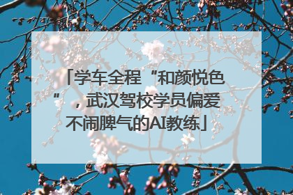 学车全程“和颜悦色”，武汉驾校学员偏爱不闹脾气的AI教练