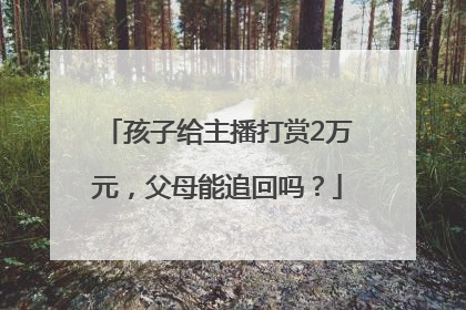 孩子给主播打赏2万元，父母能追回吗？