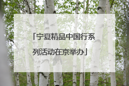 宁夏精品中国行系列活动在京举办
