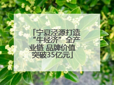 宁夏泾源打造“牛经济”全产业链 品牌价值突破35亿元