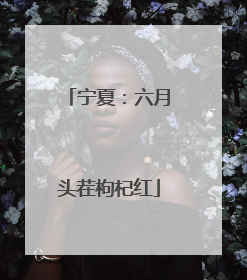 宁夏：六月头茬枸杞红