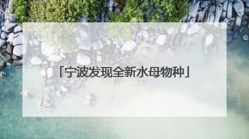 宁波发现全新水母物种
