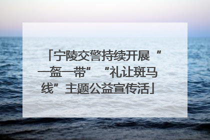 宁陵交警持续开展“一盔一带”“礼让斑马线”主题公益宣传活