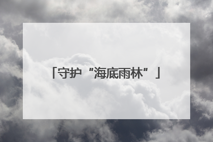 守护“海底雨林”