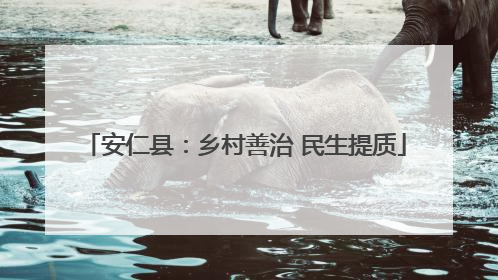 安仁县：乡村善治 民生提质