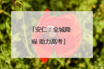 安仁：全城降噪 助力高考