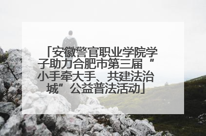 安徽警官职业学院学子助力合肥市第三届“小手牵大手、共建法治城”公益普法活动