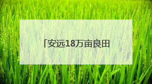 安远18万亩良田有了“专属医保”