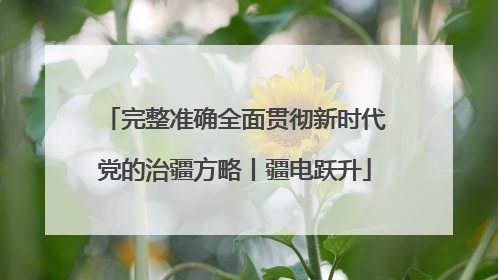 完整准确全面贯彻新时代党的治疆方略丨疆电跃升