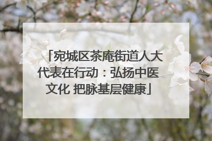 宛城区茶庵街道人大代表在行动：弘扬中医文化 把脉基层健康