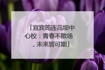 宜宾筠连蒿坝中心校：青春不散场，未来皆可期