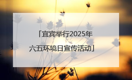宜宾举行2025年六五环境日宣传活动