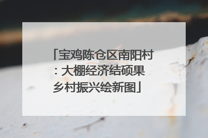 宝鸡陈仓区南阳村：大棚经济结硕果 乡村振兴绘新图