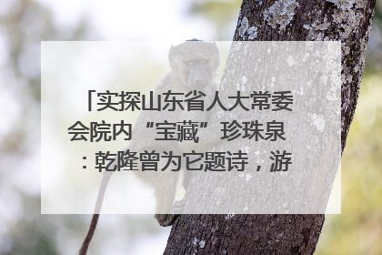 实探山东省人大常委会院内“宝藏”珍珠泉：乾隆曾为它题诗，游客无需预约免费游览
