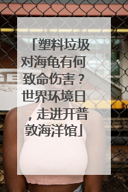 塑料垃圾对海龟有何致命伤害？世界环境日，走进开普敦海洋馆