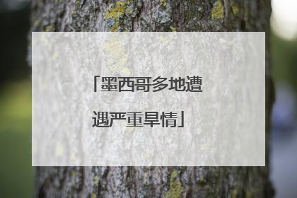 墨西哥多地遭遇严重旱情