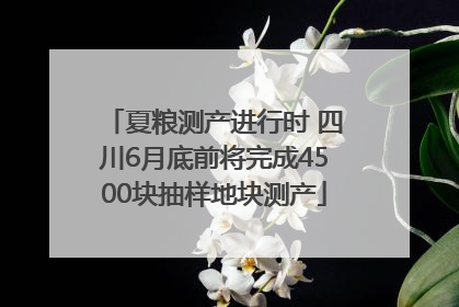 夏粮测产进行时 四川6月底前将完成4500块抽样地块测产