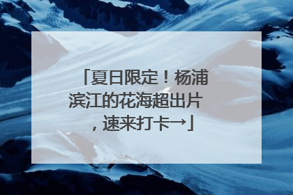 夏日限定！杨浦滨江的花海超出片，速来打卡→