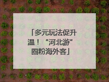 多元玩法促升温！“河北游”圈粉海外客