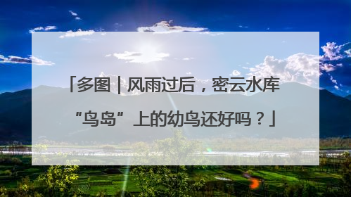 多图｜风雨过后，密云水库“鸟岛”上的幼鸟还好吗？