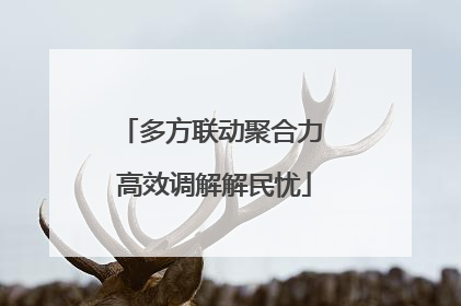 多方联动聚合力 高效调解解民忧