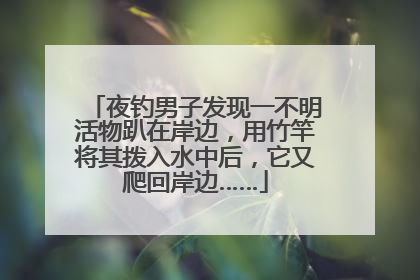 夜钓男子发现一不明活物趴在岸边，用竹竿将其拨入水中后，它又爬回岸边……