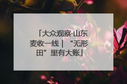 大众观察·山东麦收一线｜“无形田”里有大账