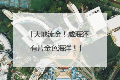 大地流金！威海还有片金色海洋！